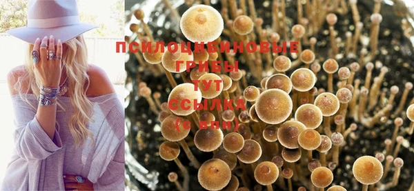 гашишное масло Алексеевка